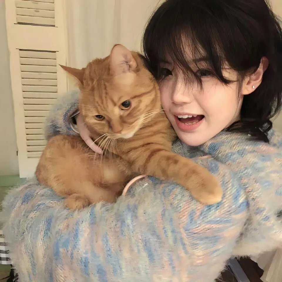 猫和老鼠：胡桃夹子的传奇